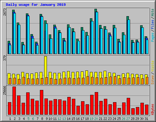 Daily usage for January 2019