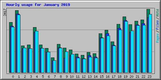 Hourly usage for January 2019