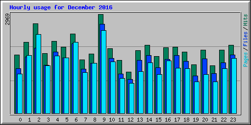 Hourly usage for December 2016