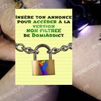 Cherche puppy à éduquer