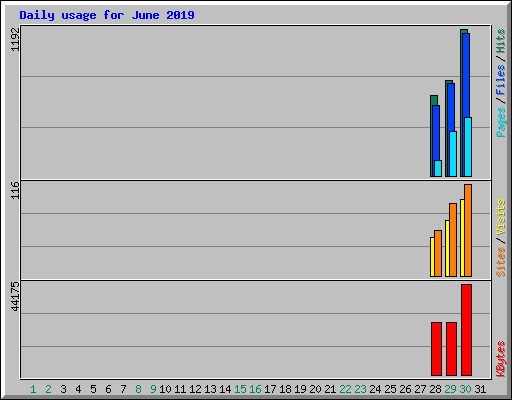 Daily usage for June 2019