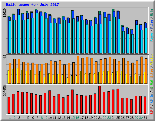 Daily usage for July 2017
