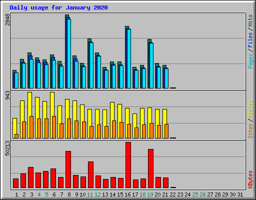 Daily usage for January 2020