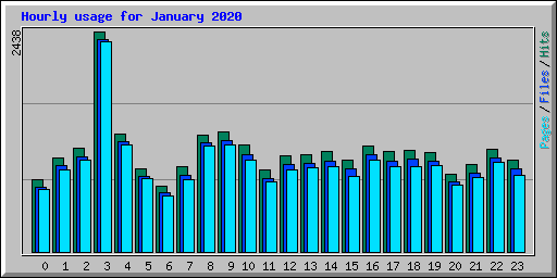 Hourly usage for January 2020