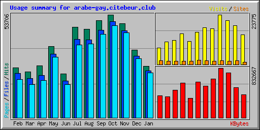 Usage summary for arabe-gay.citebeur.club