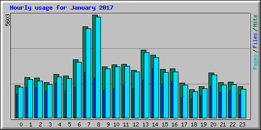 Hourly usage for January 2017