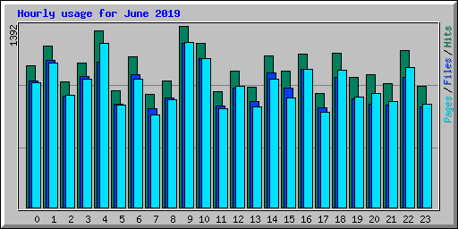 Hourly usage for June 2019