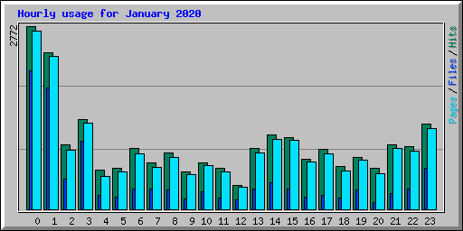 Hourly usage for January 2020