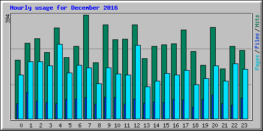 Hourly usage for December 2016