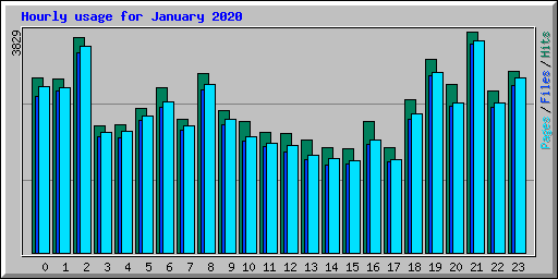 Hourly usage for January 2020