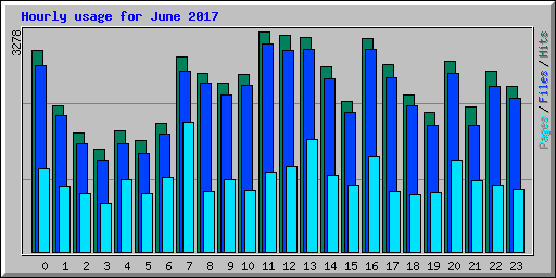 Hourly usage for June 2017
