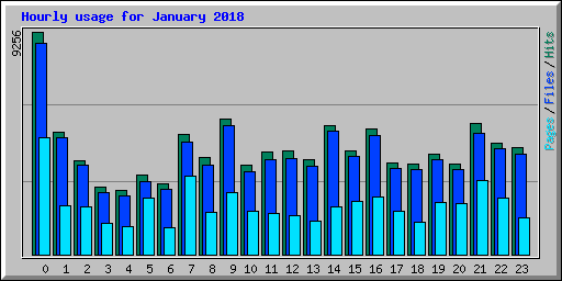 Hourly usage for January 2018