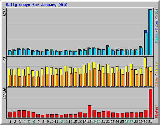 Daily usage for January 2019