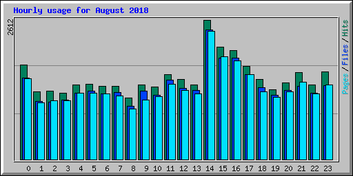 Hourly usage for August 2018