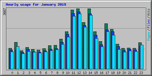 Hourly usage for January 2019