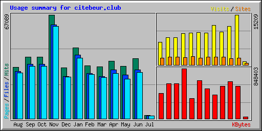 Usage summary for citebeur.club