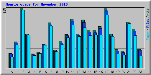 Hourly usage for November 2016