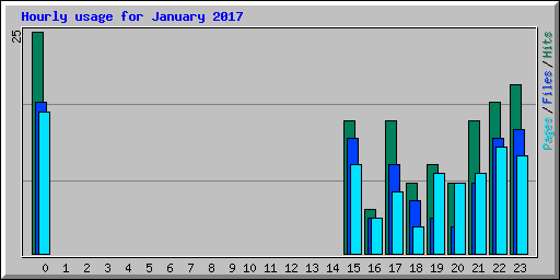 Hourly usage for January 2017