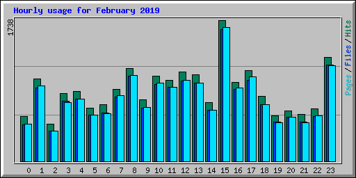 Hourly usage for February 2019