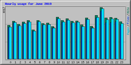 Hourly usage for June 2019