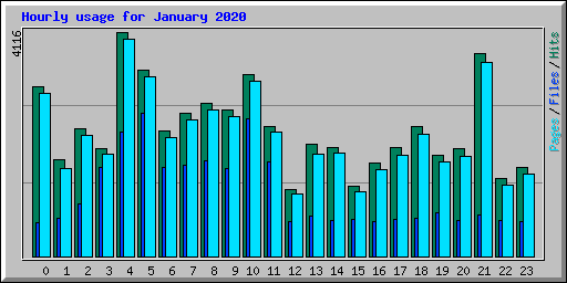 Hourly usage for January 2020