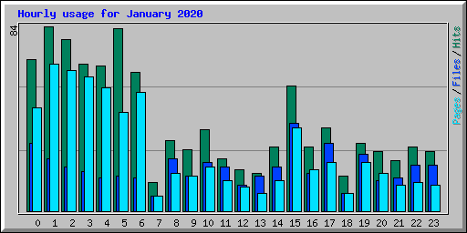 Hourly usage for January 2020