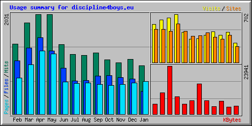 Usage summary for discipline4boys.eu