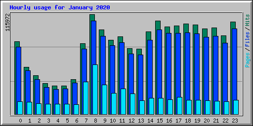 Hourly usage for January 2020