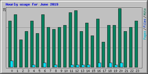 Hourly usage for June 2019