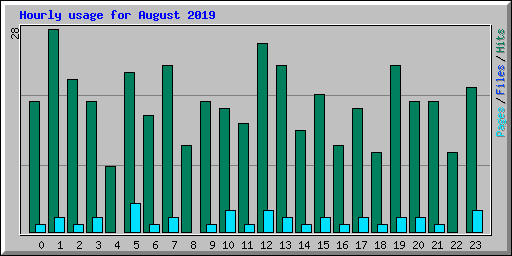 Hourly usage for August 2019