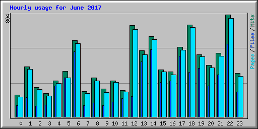 Hourly usage for June 2017