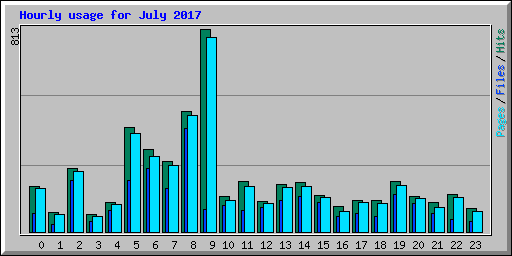 Hourly usage for July 2017