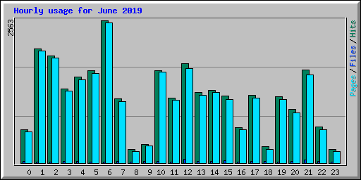 Hourly usage for June 2019