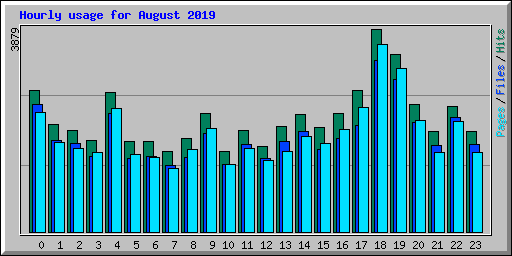 Hourly usage for August 2019