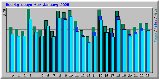 Hourly usage for January 2020