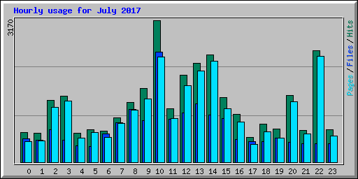 Hourly usage for July 2017