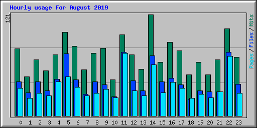 Hourly usage for August 2019