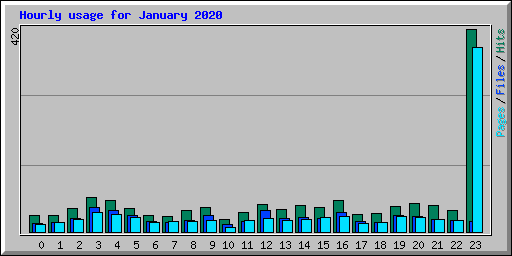 Hourly usage for January 2020
