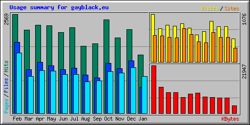 Usage summary for gayblack.eu