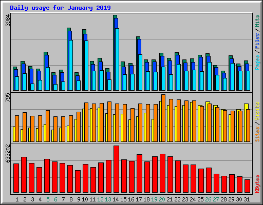 Daily usage for January 2019