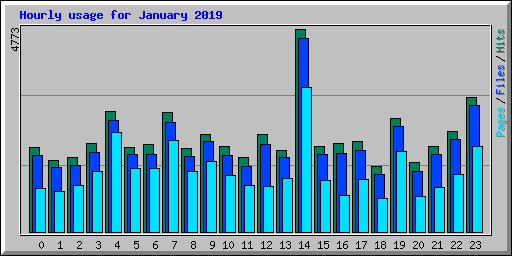 Hourly usage for January 2019