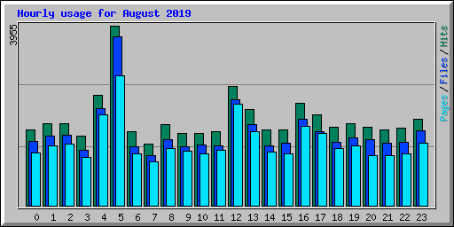 Hourly usage for August 2019
