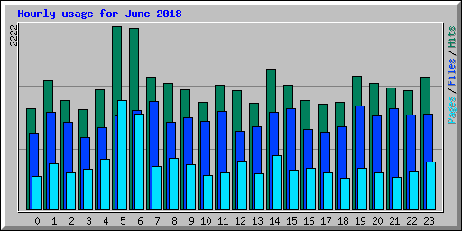 Hourly usage for June 2018