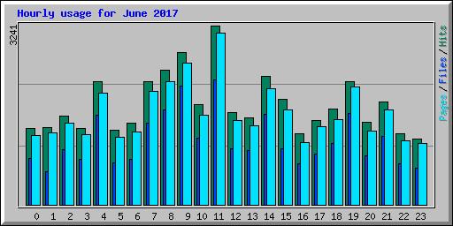 Hourly usage for June 2017