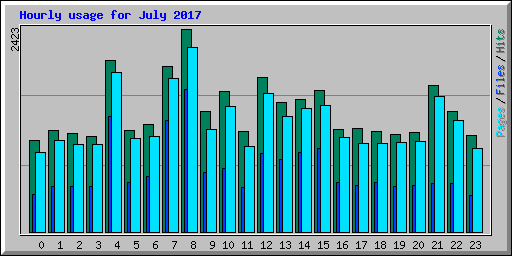 Hourly usage for July 2017