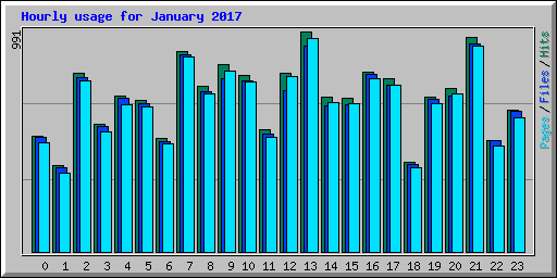Hourly usage for January 2017