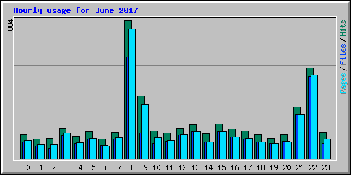 Hourly usage for June 2017