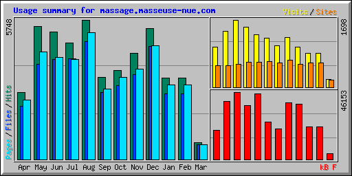 Usage summary for massage.masseuse-nue.com
