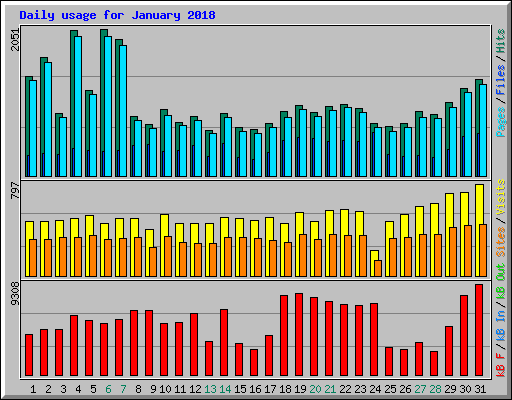 Daily usage for January 2018