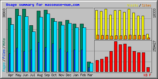 Usage summary for masseuse-nue.com